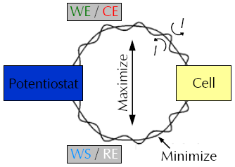 from the potentiostat and then approach the cell from opposite directions