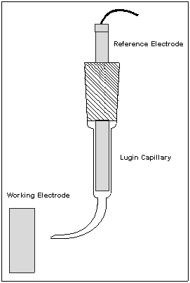 Luggin capillary
